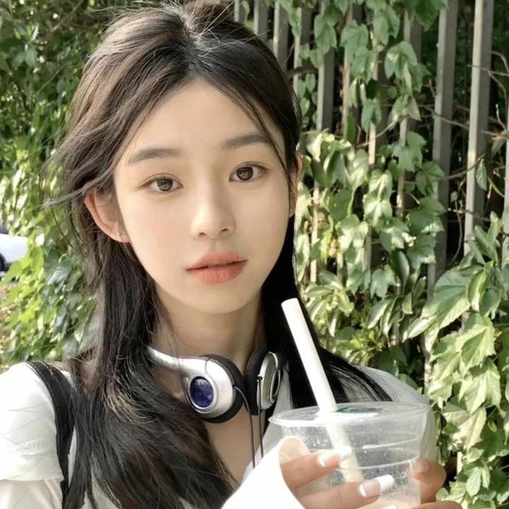 歌声欢唱的树海报