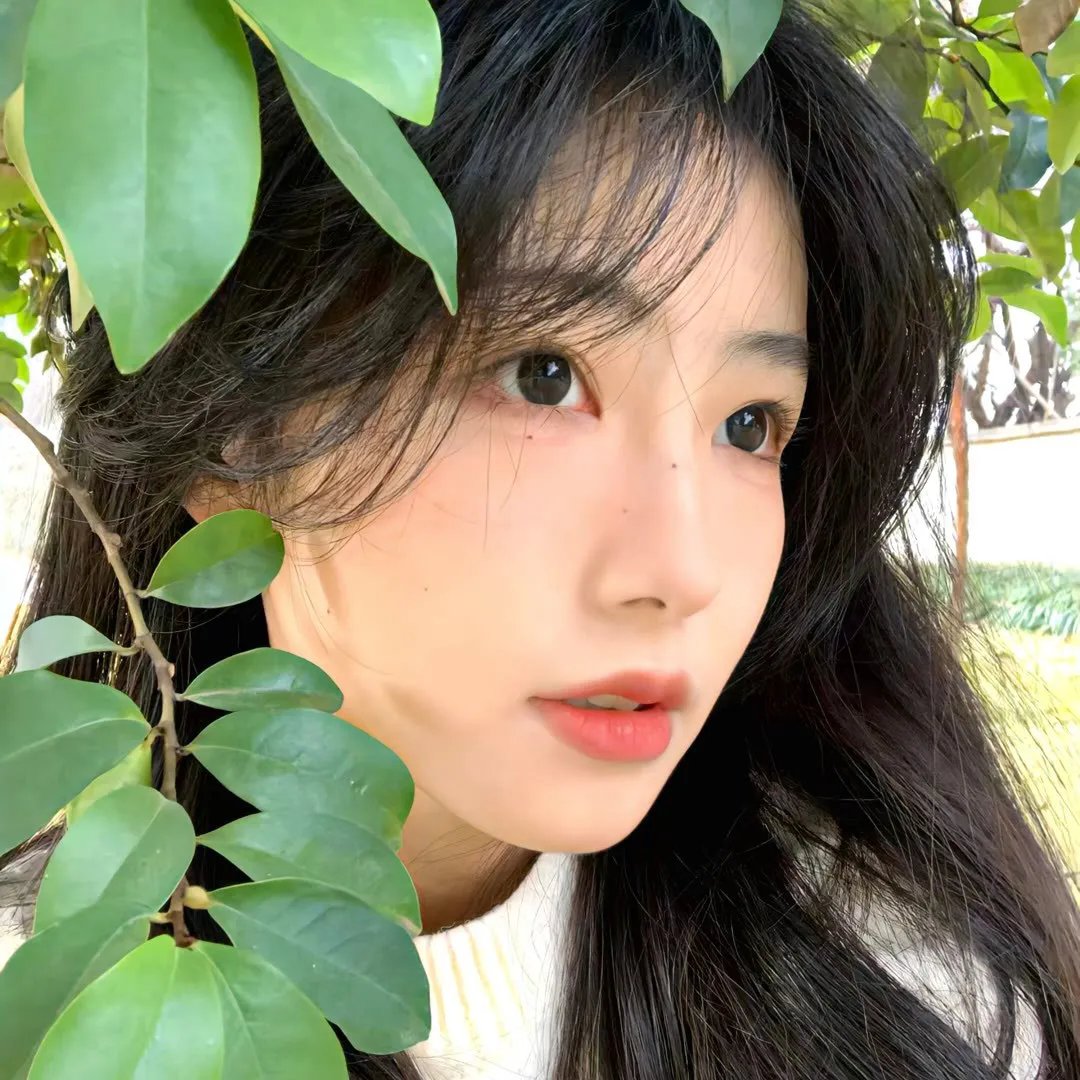 美得过火海报